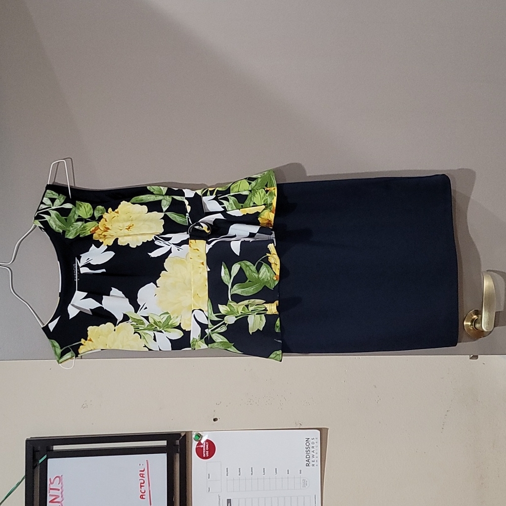 Enfocus peblum dress